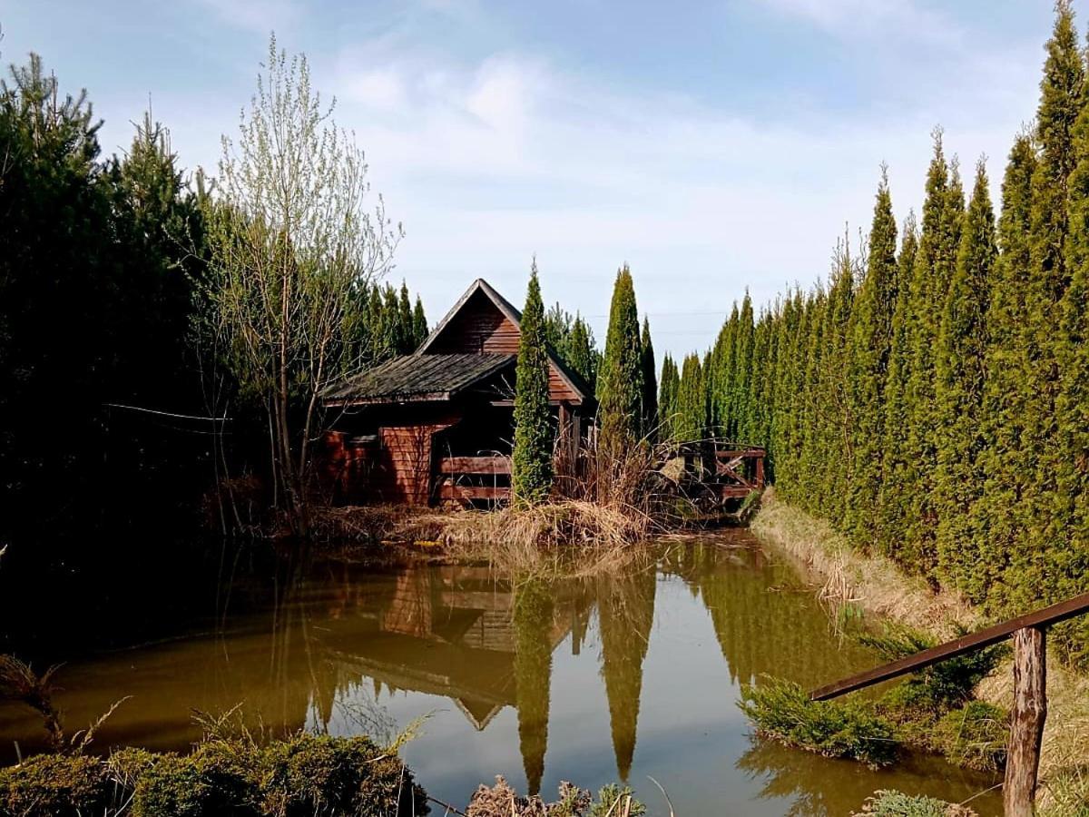 Dwór Na Otulinie Villa Białowieża Exterior foto